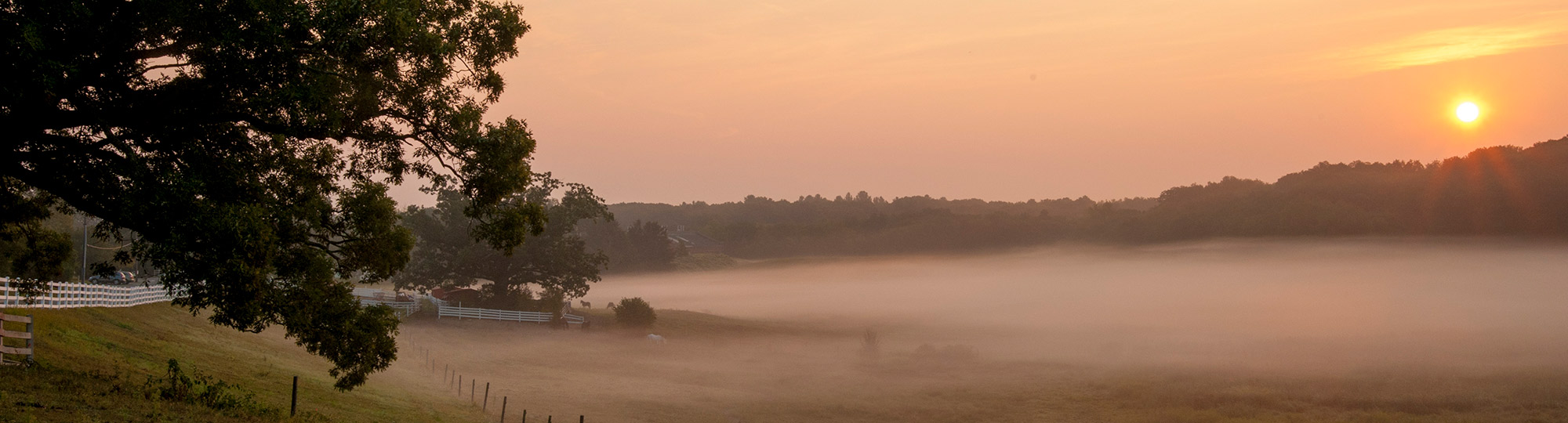sun rising over a foggy uconn field