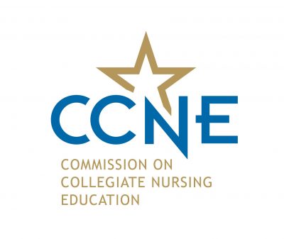 CCNE Commission on Collegiate Nursing Edu Image 2024