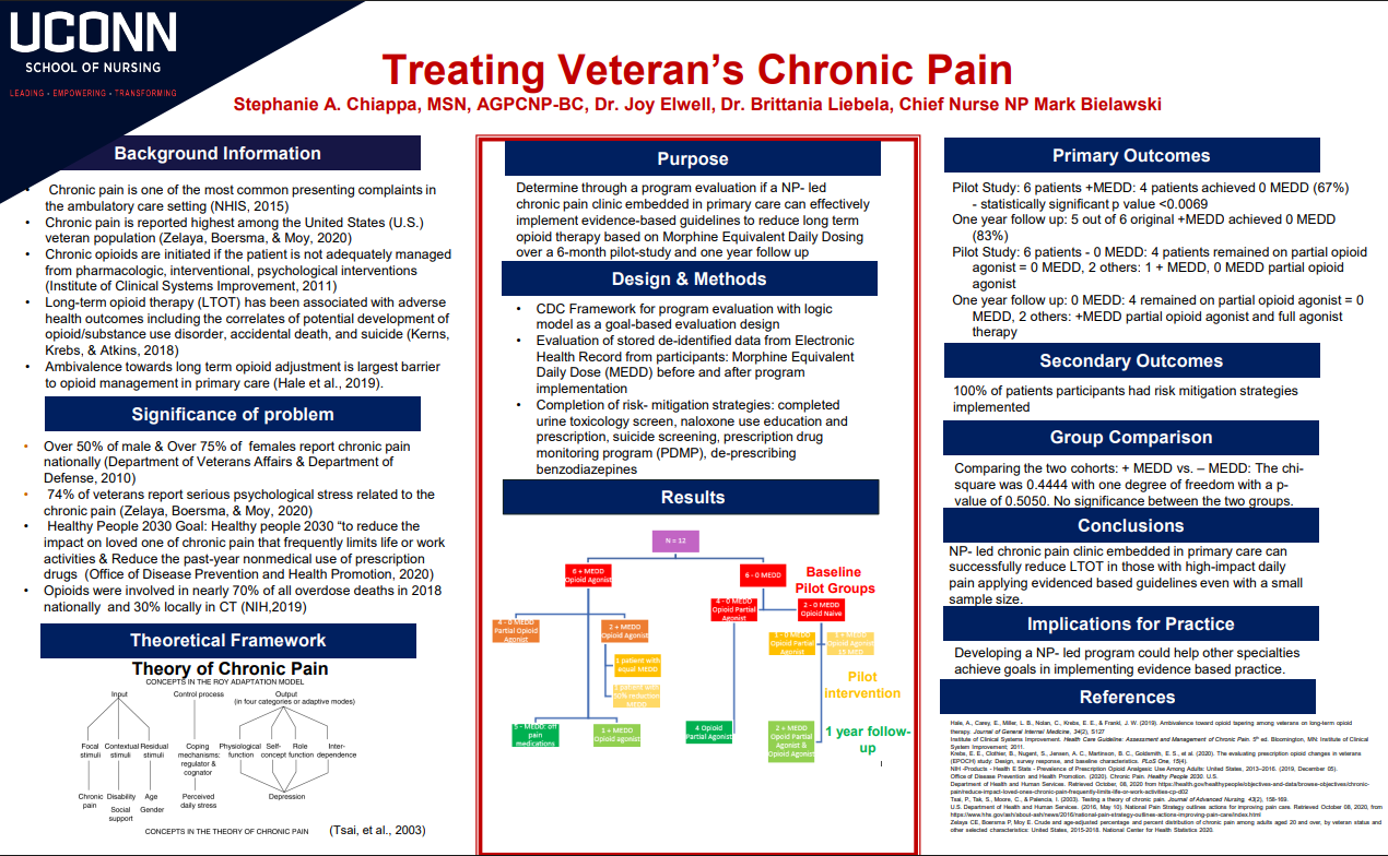 Treating Veteran’s Chronic Pain: A Program Evaluation  