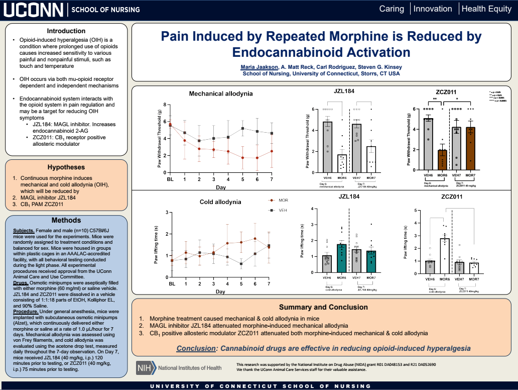 Pain Induced by Repeated Morphine is Reduced by Endocannabinoid Activation